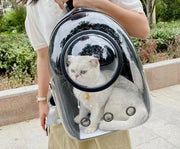 Nidofé Capsule — sac à dos transparent — vue 27