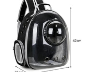 Nidofé Capsule — sac à dos transparent — vue 7