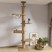Nidofé Verticale — arbre à chat sol-plafond — vue 21