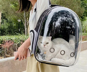 Nidofé Capsule — sac à dos transparent — vue 24